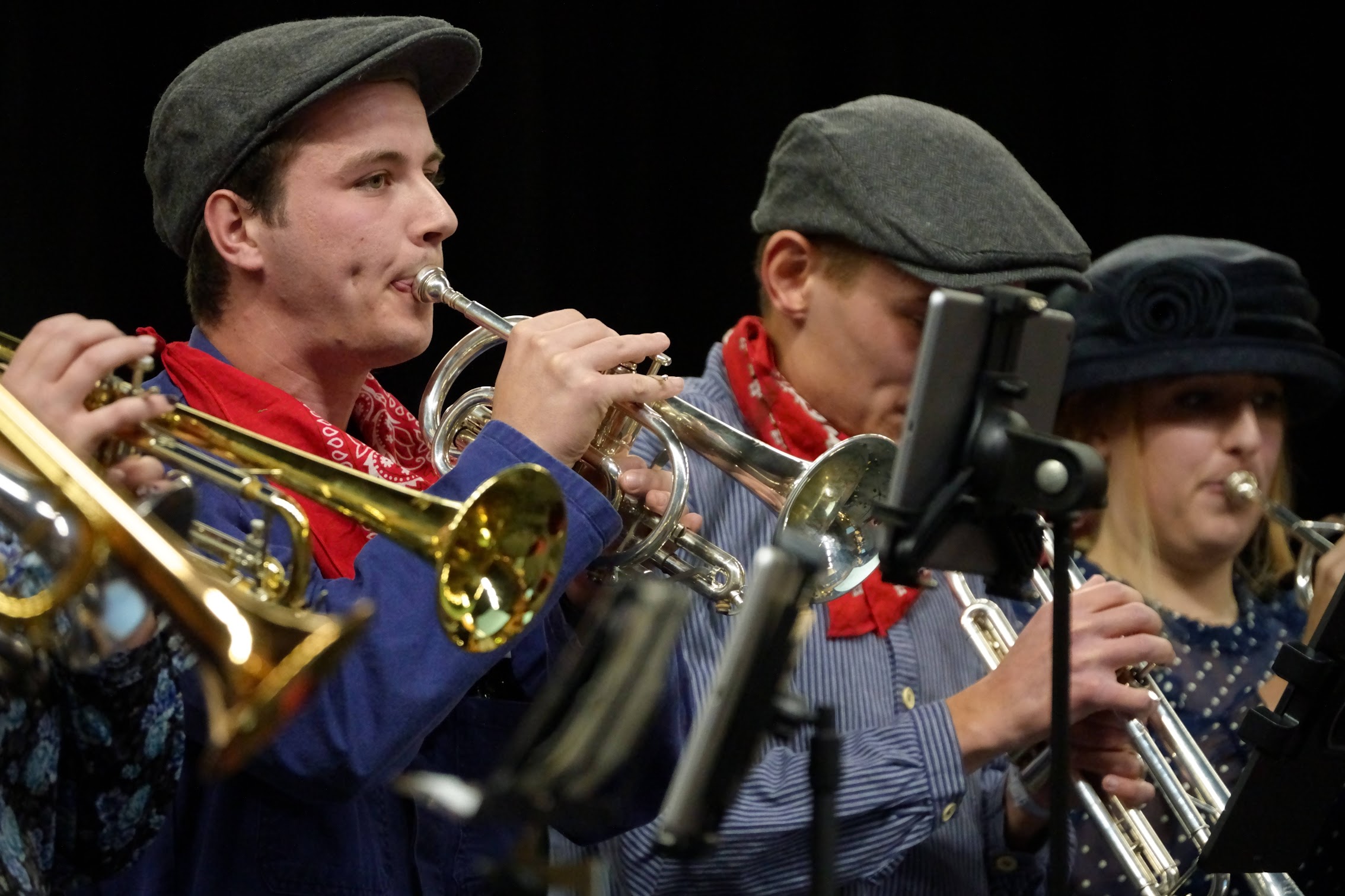 Afbeelding 1 van evenement Altena Streekfestival 2025